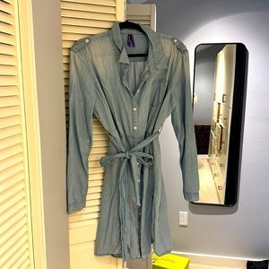 Seraphine Maternity chambray tunic dress